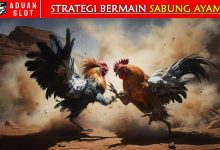strategi-sabung-ayam