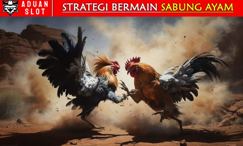 strategi-sabung-ayam