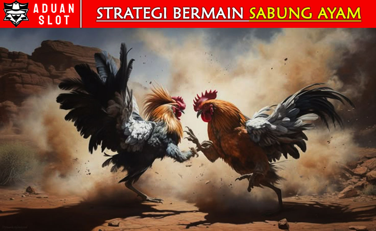 strategi-sabung-ayam